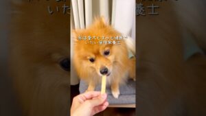サクサク！チーズクッキー🧀🍪
