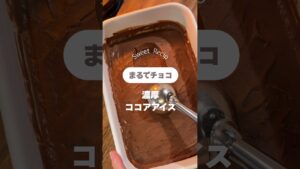 濃厚ココアアイス #おやつレシピ　#自家製アイス　#簡単レシピ　#お菓子レシピ