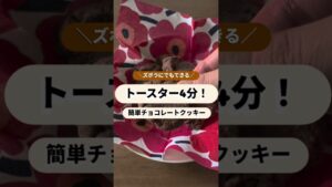 トースター4分！簡単チョコレートクッキー