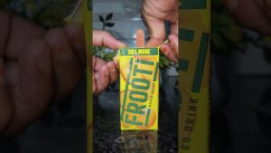 frooti icecream recipe